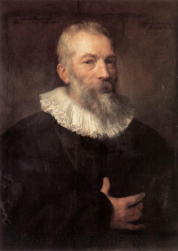 DYCK, Sir Anthony Van Portrait of the Artist Marten Pepijn dfg